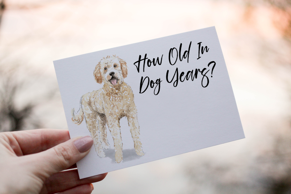 Golden Doodle Dog Birthday Card, Dog Birthday Card